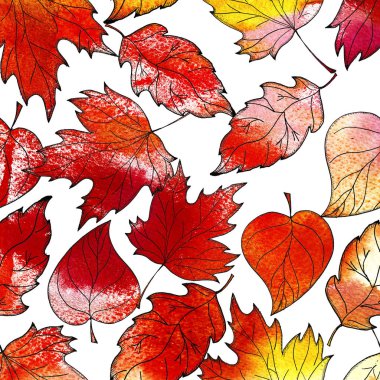 Elle çizilmiş sonbahar arka plan. Kırmızı sonbahar yaprakları. Sulu boya doku.  