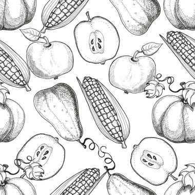 Elle çizilmiş seamless modeli. Sonbaharda hasat. Mısır, elma, kabaklar.