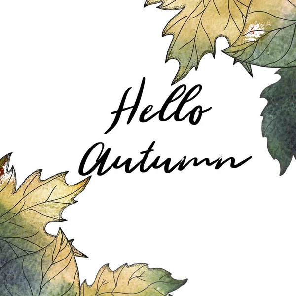 Fundo Outono Carvalhos Desenhados Mão Folhas Bordo Texto Hello Autumn — Fotografia de Stock