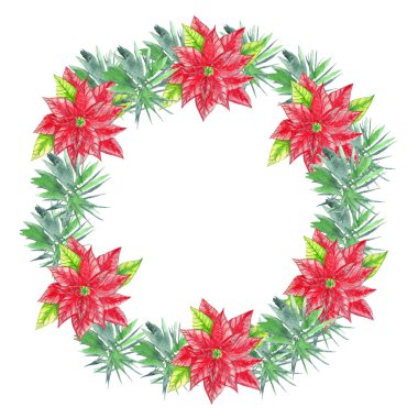 Beyaz zemin üzerine suluboya Noel çelenk. Çizilmiş el illüstrasyon boyalı el. Noel dekor, Ladin, ökse otu, Atatürk çiçeği, yıldız, holly dalları.
