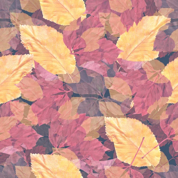 Bright Colorful Autumn Leaves Seamles Pattern Natural Background Mixed Media — Stock Photo, Image