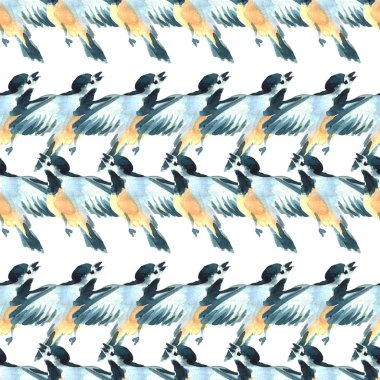 Suluboya baştankara kuşları illüstrasyon. El seamless modeli boyalı. Vahşi hayvanlar.