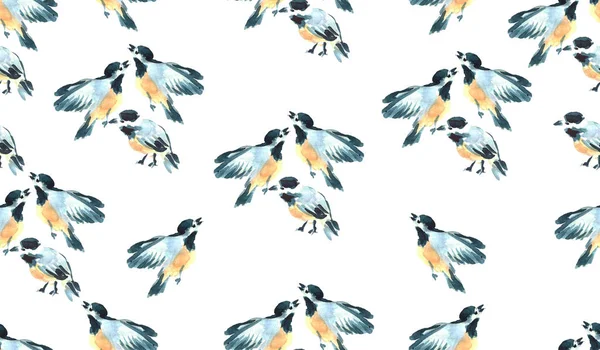 Illustrazione Uccelli Tetta Acquerello Modello Senza Cuciture Dipinto Mano Animali — Foto Stock