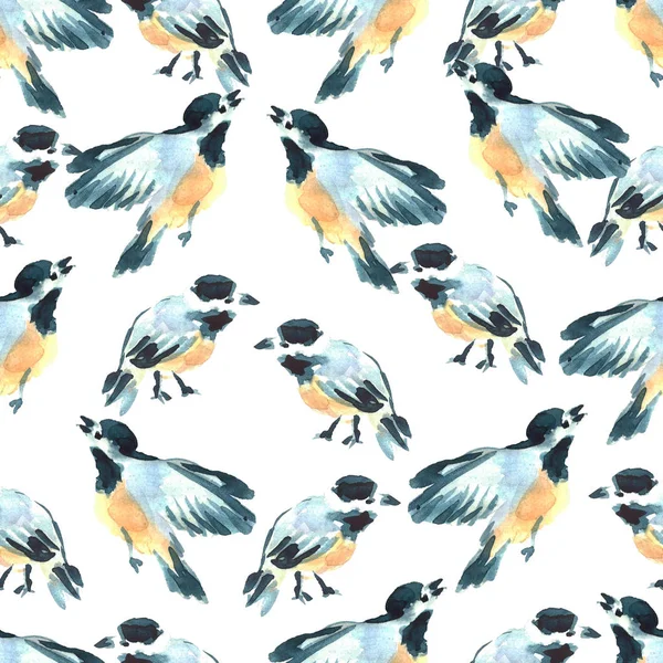 Illustrazione Uccelli Tetta Acquerello Modello Senza Cuciture Dipinto Mano Animali — Foto Stock