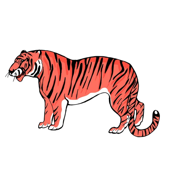 Söt Hand Dras Vektorillustration Amur Tiger Asiatiska Vilda Djur Skiss — Stock vektor