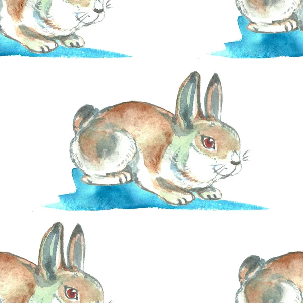 水彩插图 野生动物的无缝背景 手绘野兔 — 图库照片