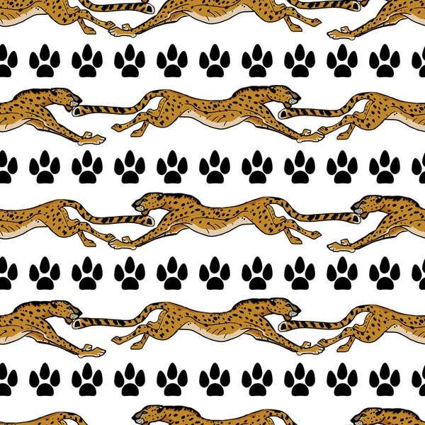 Animales salvajes africanos. Cheetah. Ilustración vectorial dibujada a mano. S — Archivo Imágenes Vectoriales