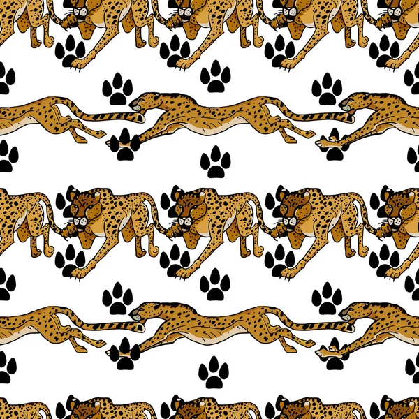 Animales salvajes africanos. Cheetah. Ilustración vectorial dibujada a mano. S — Archivo Imágenes Vectoriales