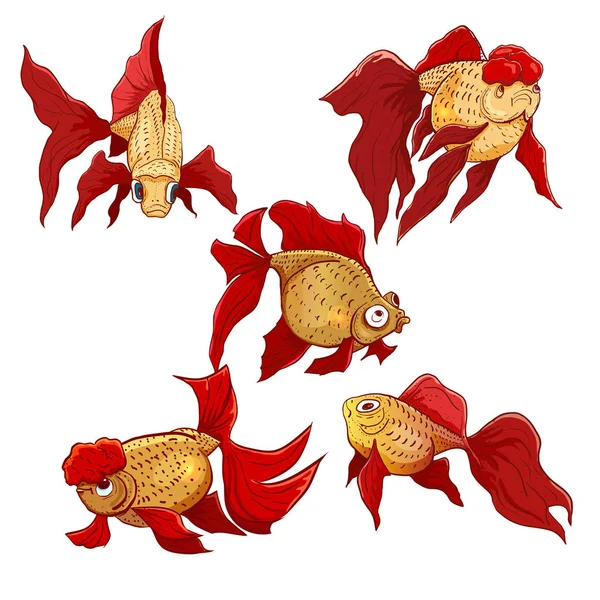Vektor håndtegnet sæt guldfisk. Calico guldfisk, løvehoved – Stock-vektor