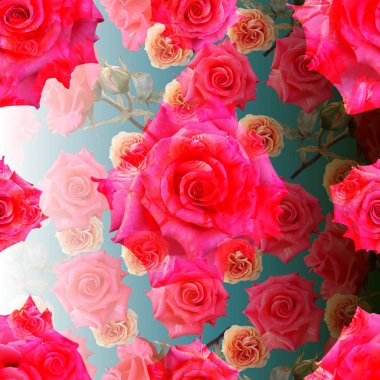 Sevimli güzel renkli güller. Dikişsiz çiçek fotoğraf arka plan.