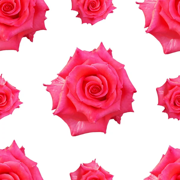 Милі красиві барвисті троянди. Безшовний квітковий фото фон . — стокове фото