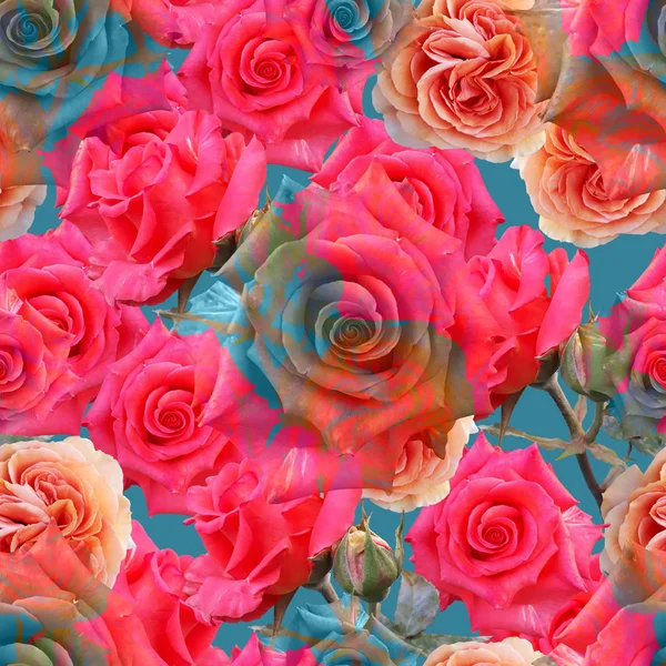 Aranyos gyönyörű színes rózsák. Varrat nélküli virágos háttér. — Stock Fotó