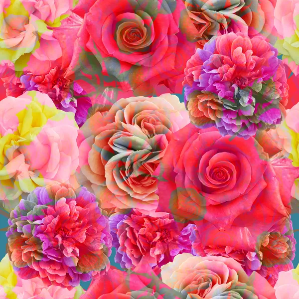 Sevimli güzel renkli güller. Dikişsiz çiçek fotoğraf arka plan. — Stok fotoğraf