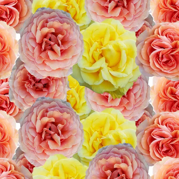 Sevimli güzel somon, pembe ve sarı güller. Dikişsiz çiçek ph — Stok fotoğraf