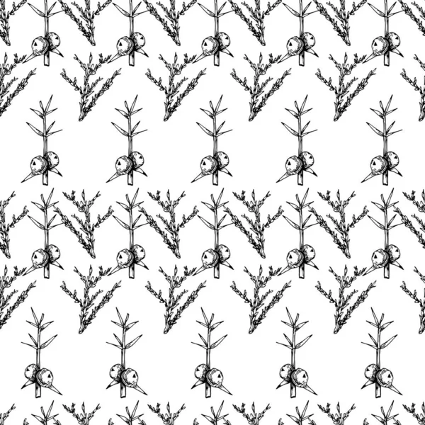 Botanical seamless pattern in vintage style. Various leaves of f — Stock Illustration Botanical seamless pattern in vintage style. Various leaves of f Vector Graphics