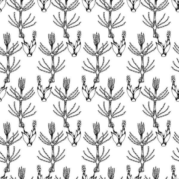 Botanical seamless pattern in vintage style. Various leaves of f — Stock Illustration Botanical seamless pattern in vintage style. Various leaves of f Vector Graphics