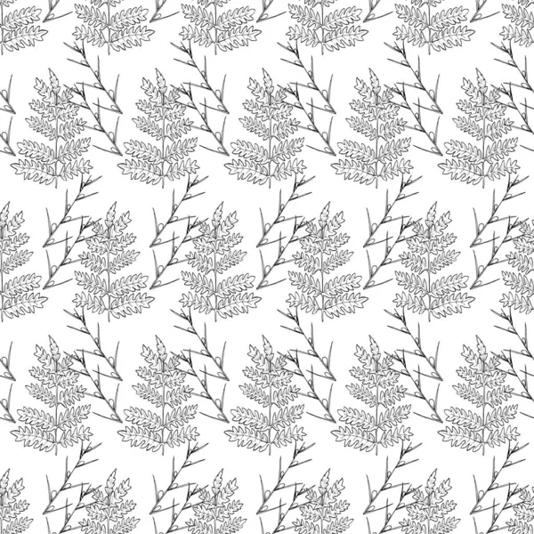 Botanical seamless pattern in vintage style. Various leaves of f — Stock Illustration Botanical seamless pattern in vintage style. Various leaves of f Royalty Free Stock Vectors