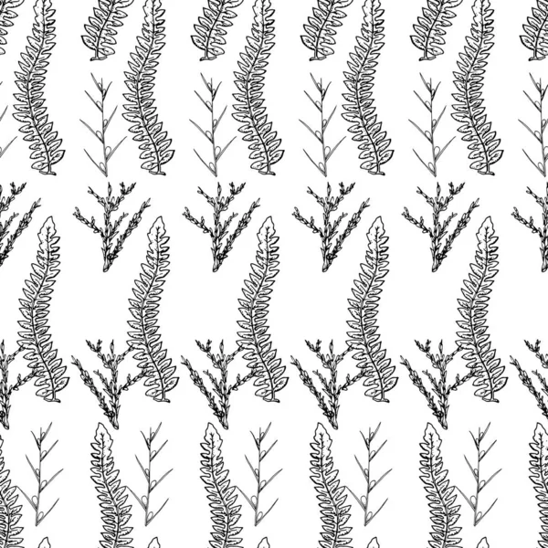 Botanical seamless pattern in vintage style. Various leaves of f — Stock Illustration Botanical seamless pattern in vintage style. Various leaves of f Stock Illustration