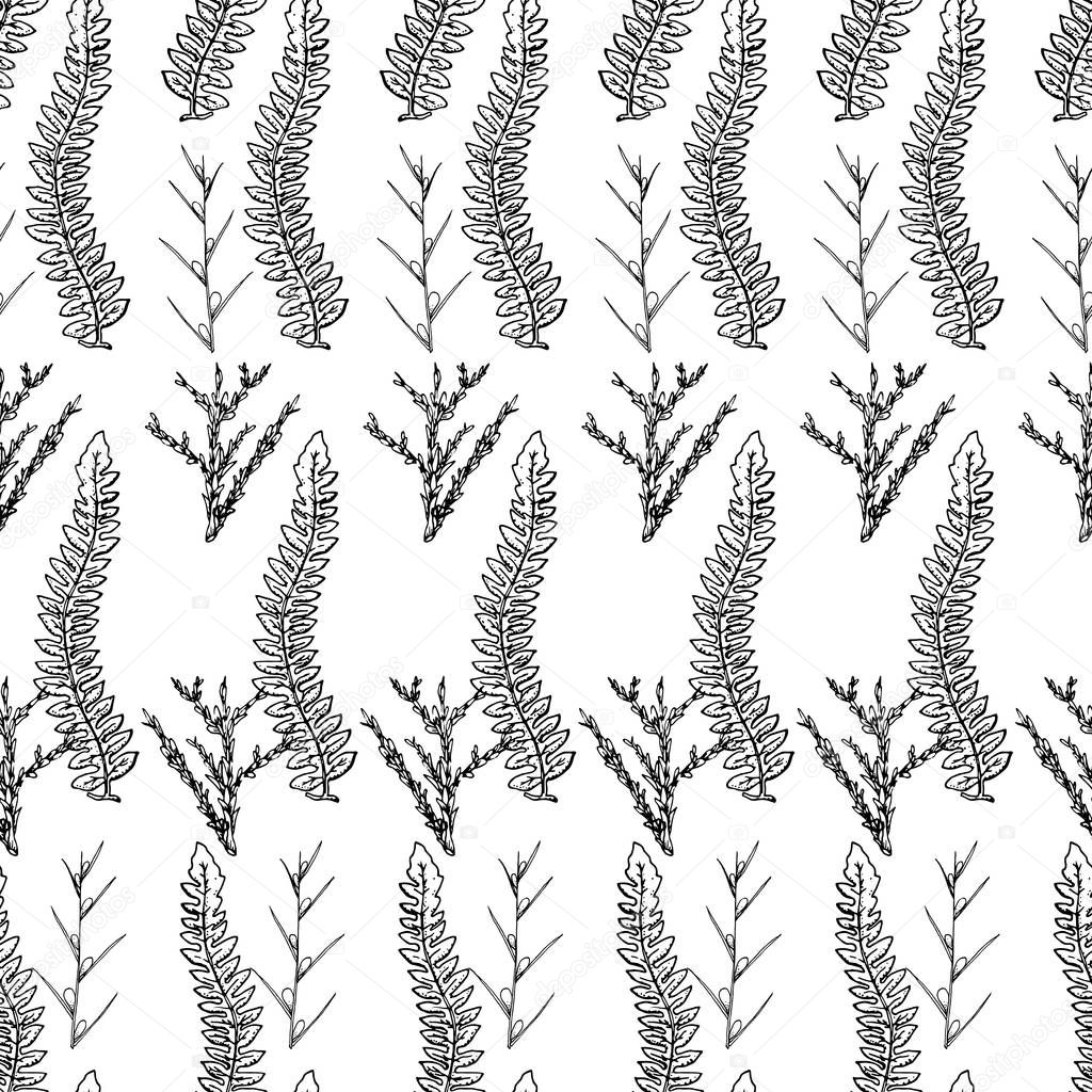 Botanical seamless pattern in vintage style. Various leaves of f