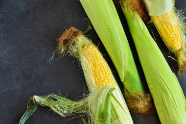 Siyah bir taş zemin üzerine taze, sulu, ham Mısır