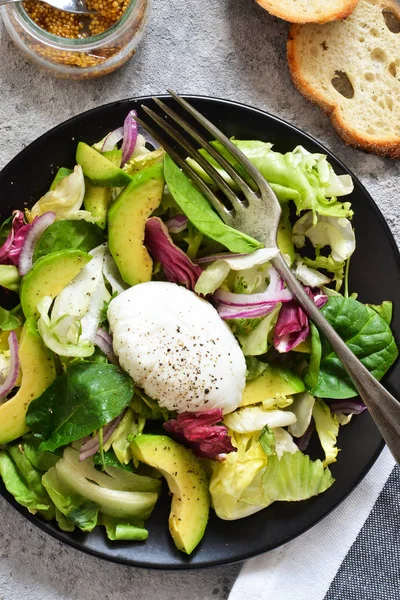 Frische Mischung Salat mit Avocado, Pflug und Sauce — Stockfoto