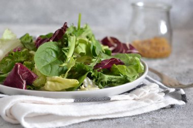 Salata taze karışımı: marul, arugula, ıspanak, mesclun