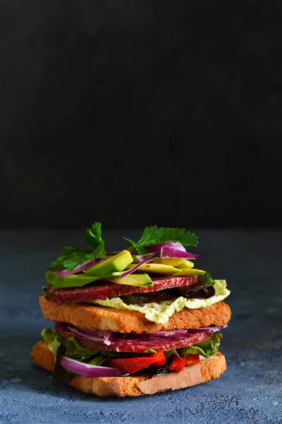 부엌에서 살라미, 샐러드 및 채소와 바삭한 샌드위치 — 스톡 사진