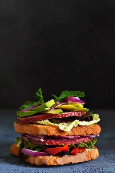 Crispy sandwich with salami, salad and vegetables on the kitchen — Stock Photo, Image