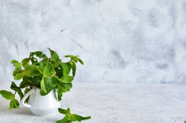 Beton arka plan üzerinde taze yeşil nane.