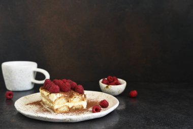 Koyu beton arka planda ahududulu tiramisu. Klasik İtalyan tatlısı tiramisu..