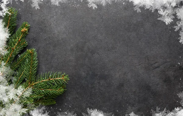 Yeni Yıl Kartı Siyah Arka Planda Köknar Olan Bir Noel — Stok fotoğraf