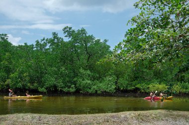 İki tekne turist akış Mahe Adası Seyşel Adaları boyunca mangrov ağaçlar, yüzmek