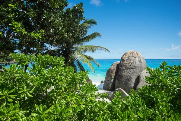 Beautiful view of the Indian Ocean from the island of Mae, Seychelles.  On the ocean lie huge stones.  Evergreen vegetation is in the foreground.