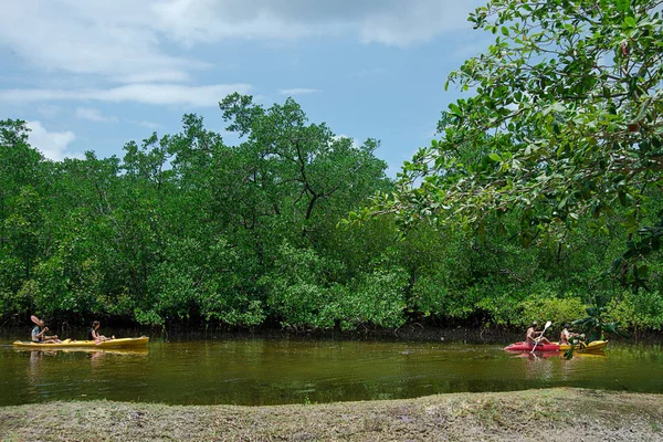Two boats with tourists swim along the flow along mangrove trees, the Seychelles, the island of Mahe