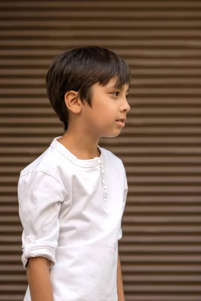 Aantrekkelijke Jongen Dragen Witte Shirt Bedraagt Een Bruin Rolluik Denkt — Stockfoto