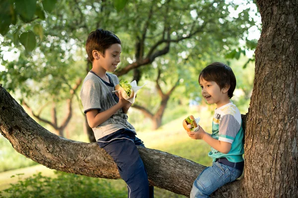 Zwei Jungen Sitzen Auf Einem Ast Einem Garten Dorf Und — Stockfoto