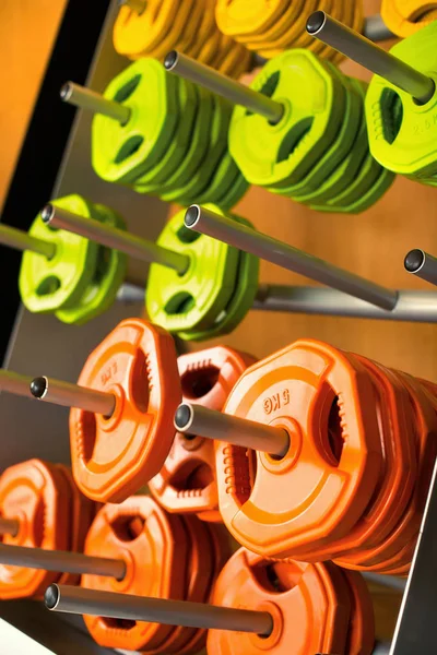 Multicolored mini-bar pancakes weigh on metal pins in the gym