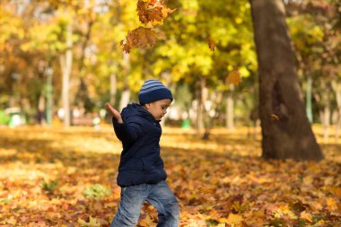 Küçük bir çocuk sevinçle kot pantolon ve mavi bir ceket giyen sarı yapraklar yukarı doğru sonbahar parkta atar.  