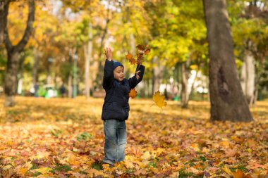 Küçük bir çocuk sevinçle kot pantolon ve mavi bir ceket giyen sarı yapraklar yukarı doğru sonbahar parkta atar.  