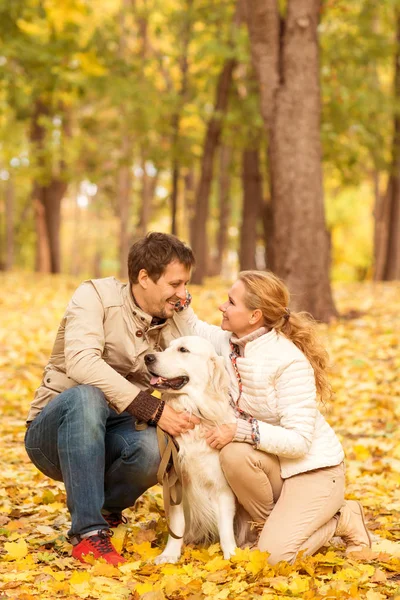 Young Man Woman Friendly His Dog Labrador Autumn Park Look — Stock Photo, Image