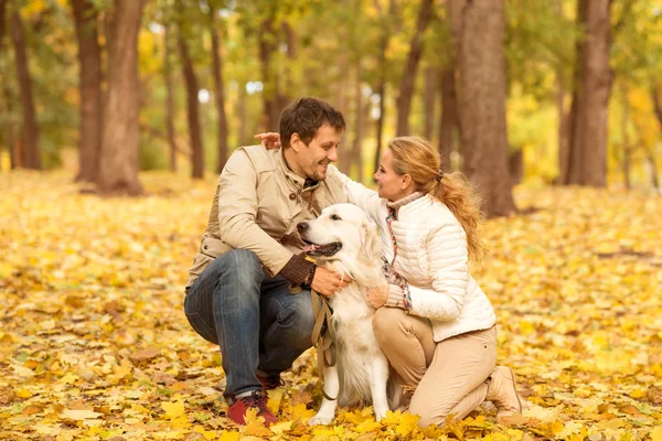 Young Man Woman Friendly His Dog Labrador Autumn Park Look — Stock Photo, Image