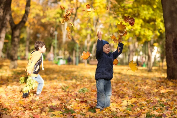 İki erkek sonbahar parkta yürüyorlar. Sevinçle kot pantolon ve mavi bir ceket giymiş küçük bir çocuk sarı yapraklar yukarı atar. 