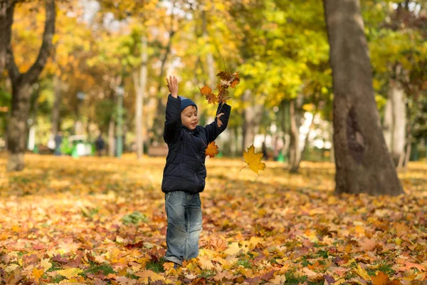 Küçük bir çocuk sevinçle kot pantolon ve mavi bir ceket giyen sarı yapraklar yukarı doğru sonbahar parkta atar.  