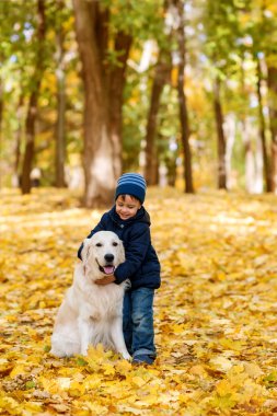 Duygusal kot pantolon ve mavi bir ceket giymiş küçük bir çocuk büyük bir beyaz Labrador köpek kucaklar. Sonbahar parkta yürüyorlar.  