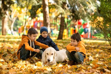 Üç erkek bir köpek Labrador ile sonbahar parkta yürümek. Sarı yapraklar üzerinde köpek yalan, çocuklar bir köpek sarmış.