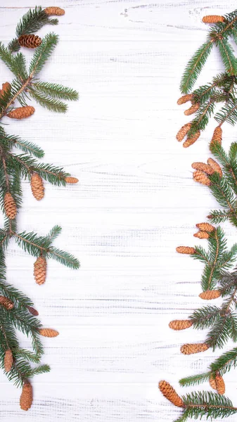 クリスマスの抽象化です 白い木製の表面に円錐形でモミの木の枝の つの行 — ストック写真