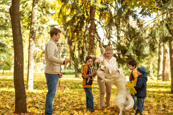 Маленький Мальчик Джинсах Синей Куртке Эмоционально Обнимает Большую Белую Собаку — стоковое фото