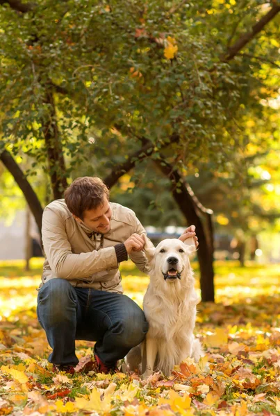 Small Boy Dressed Jeans Blue Jacket Emotionally Embraces Large White — Stock Photo, Image