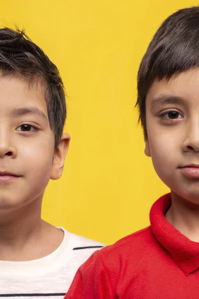 Studioaufnahme der beiden Gesichtshälften zweier Jungen-Brüder l lizenzfreie Stockbilder