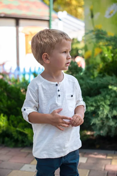 공원에서 귀여운 작은 심각한 금발 소년의 허리 위로 초상화 — 스톡 사진
